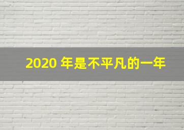 2020 年是不平凡的一年